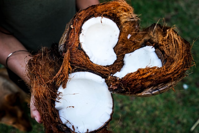 4 Reasons Why Coconut Wax is more Sustainable